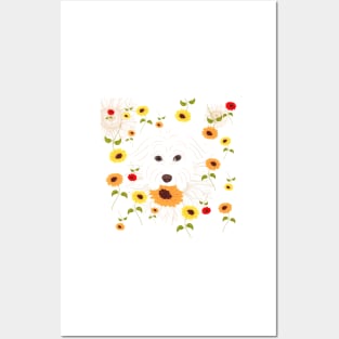 Sunflowers and Maltipoo Posters and Art